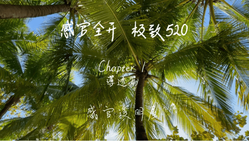 感官全开，极致520