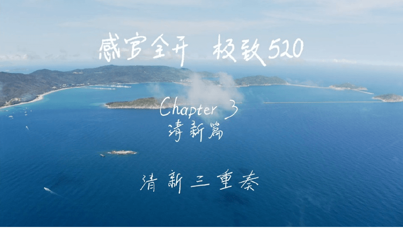 感官全开，极致520